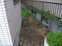 IMGP1761.JPG