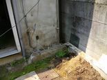 IMGP3729.jpg