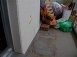 IMGP3273.jpg