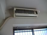 IMGP3284.jpg