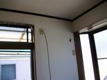 IMGP3697.jpg