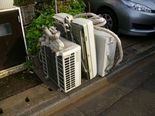 IMGP4831.jpg