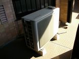 IMGP3576.jpg