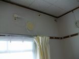 IMGP3684.jpg