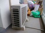 IMGP3271.jpg