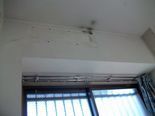 IMGP3287.jpg