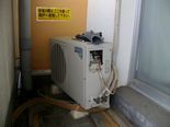 IMGP3681.jpg