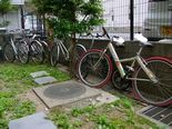 IMGP3885.jpg