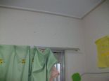 IMGP3280.jpg