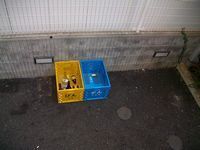 IMGP2665.JPG