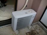 IMGP4292.jpg