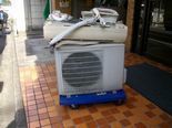 IMGP5072.jpg