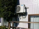 IMGP5200.jpg